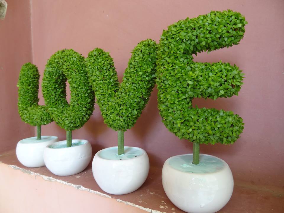 ban-cay-canh-lam-qua-valentine-o-dau-gia-re-nhat