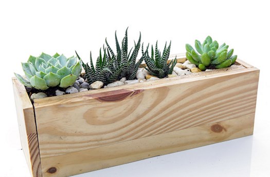 ban-chau-go-thong-minh-1