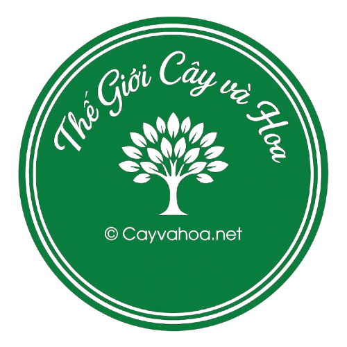 Thế Giới Cây Và Hoa
