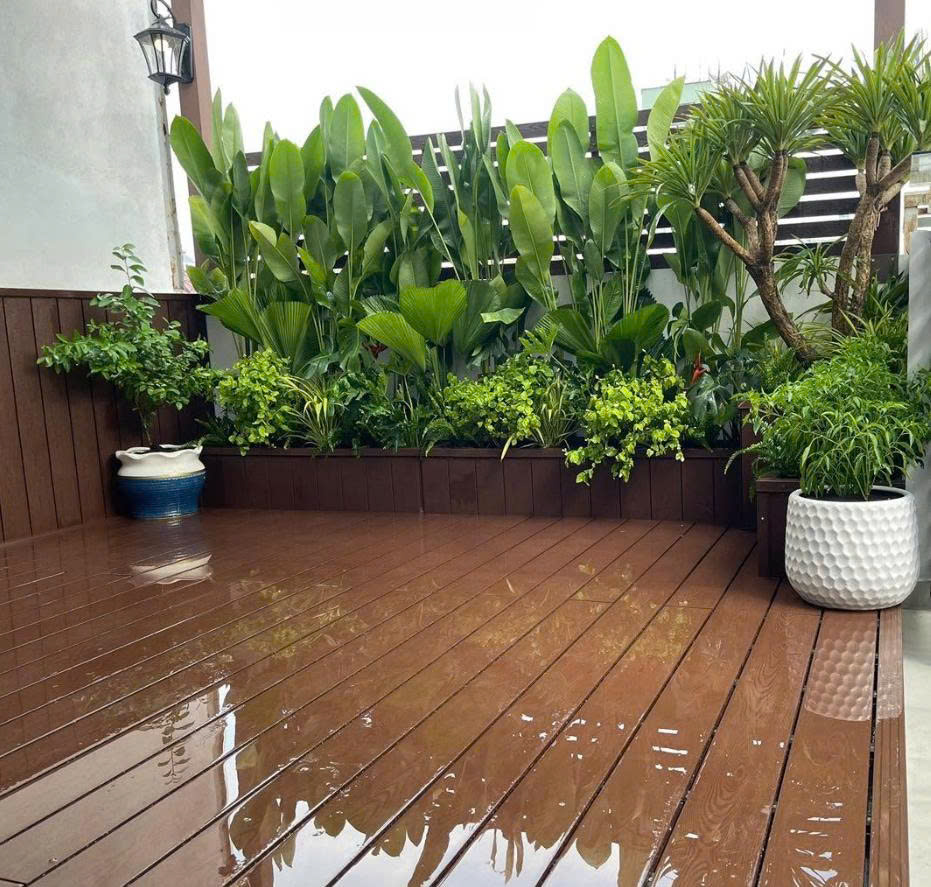 Sàn gỗ nhựa composite và dãy cây nhiệt đới trên ban công rộng